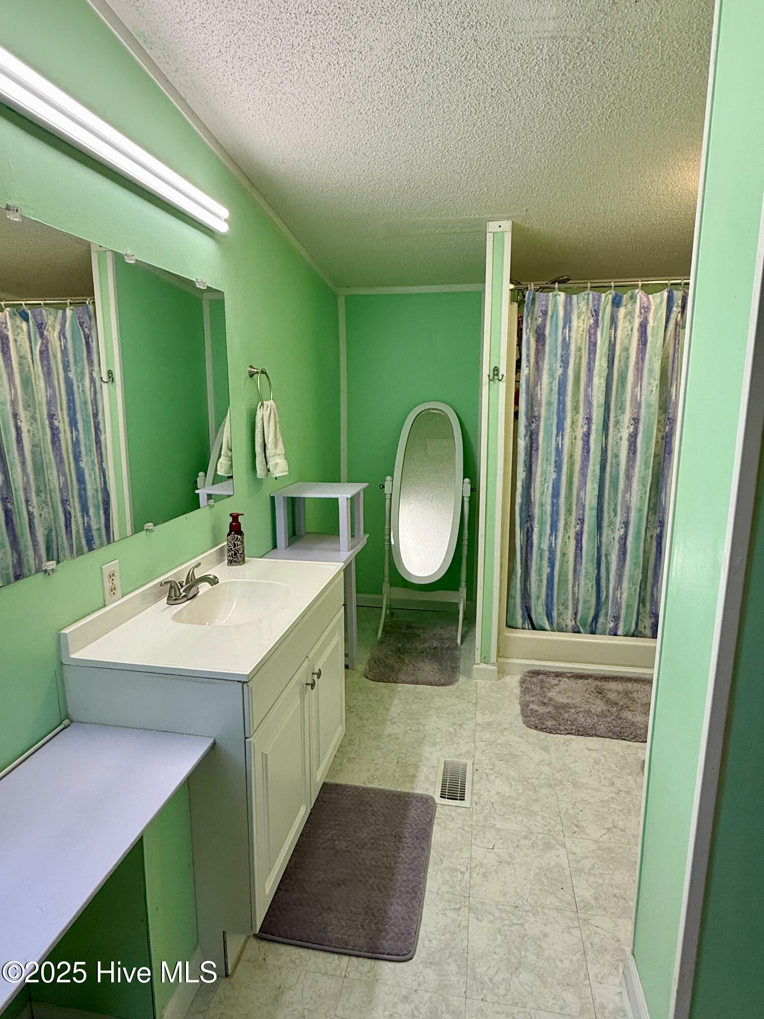 3682 Titan Roberts Road Erwin, NC 28339 - Photo 21 of 51 Primary spacious bath