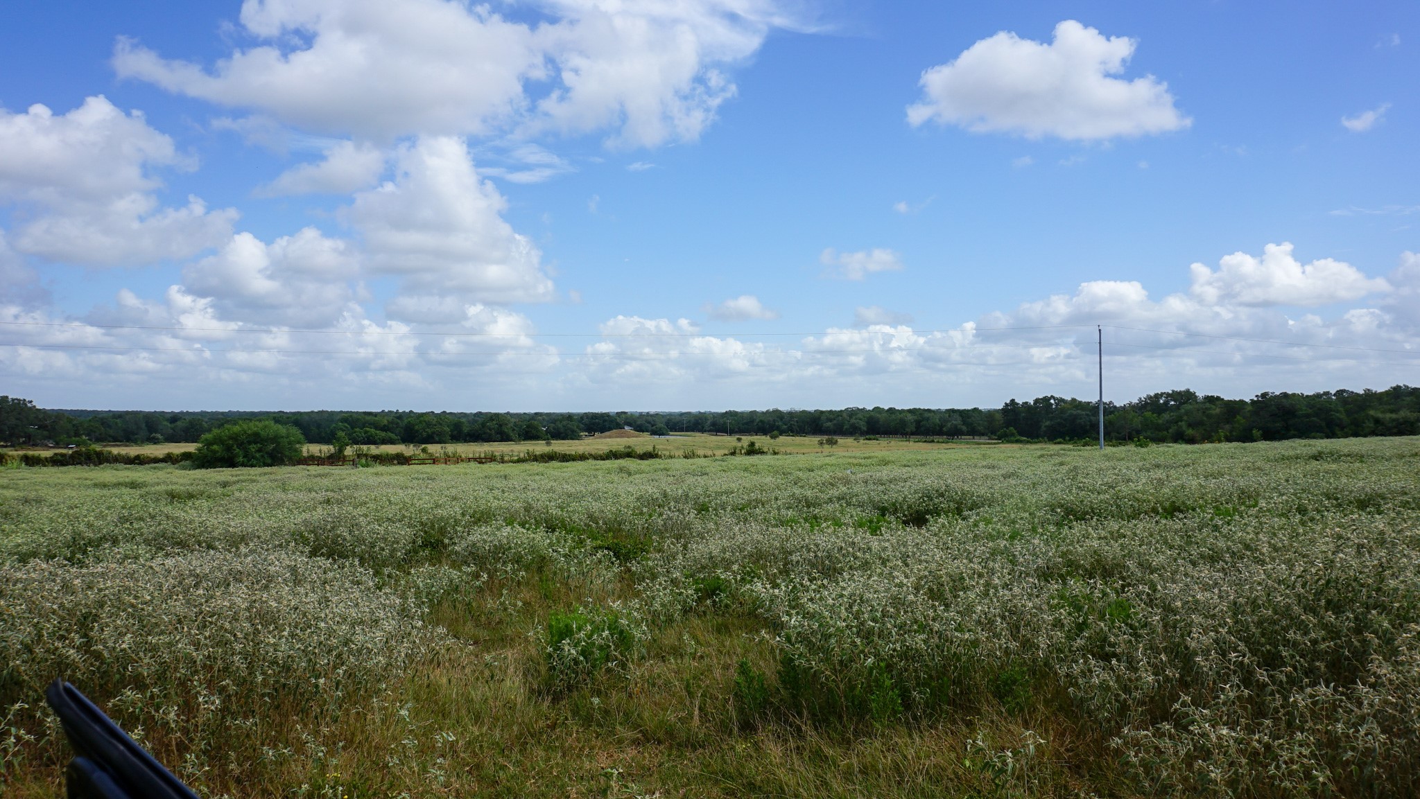 0 Hranicky Road Schulenburg, TX 78956 - Photo 5 of 10 Gallery Image 5