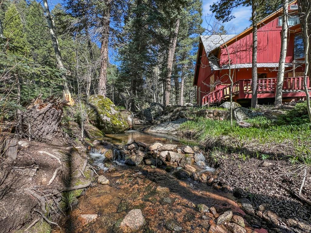 18450 Highway 165 Rye, CO 81069 - Photo 3 of 20