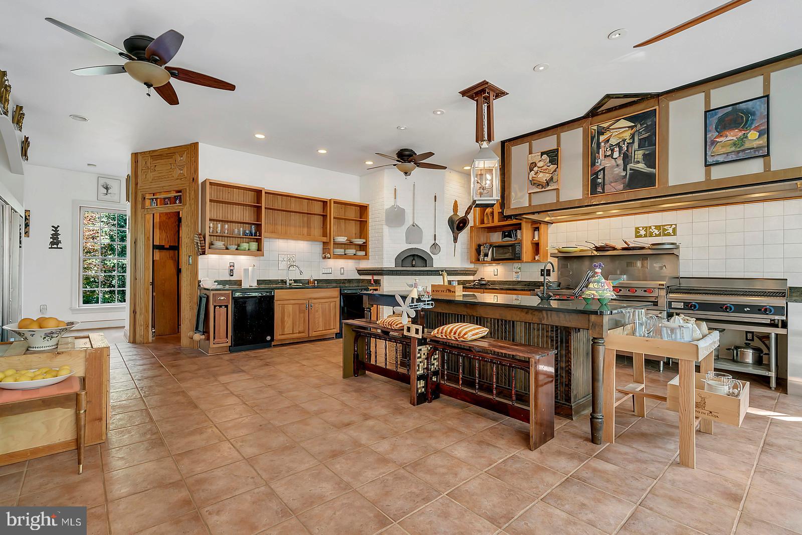3318 Bust Head Road The Plains, VA 20198 - Photo 11 of 61 Large gourmet chef's Kitchen