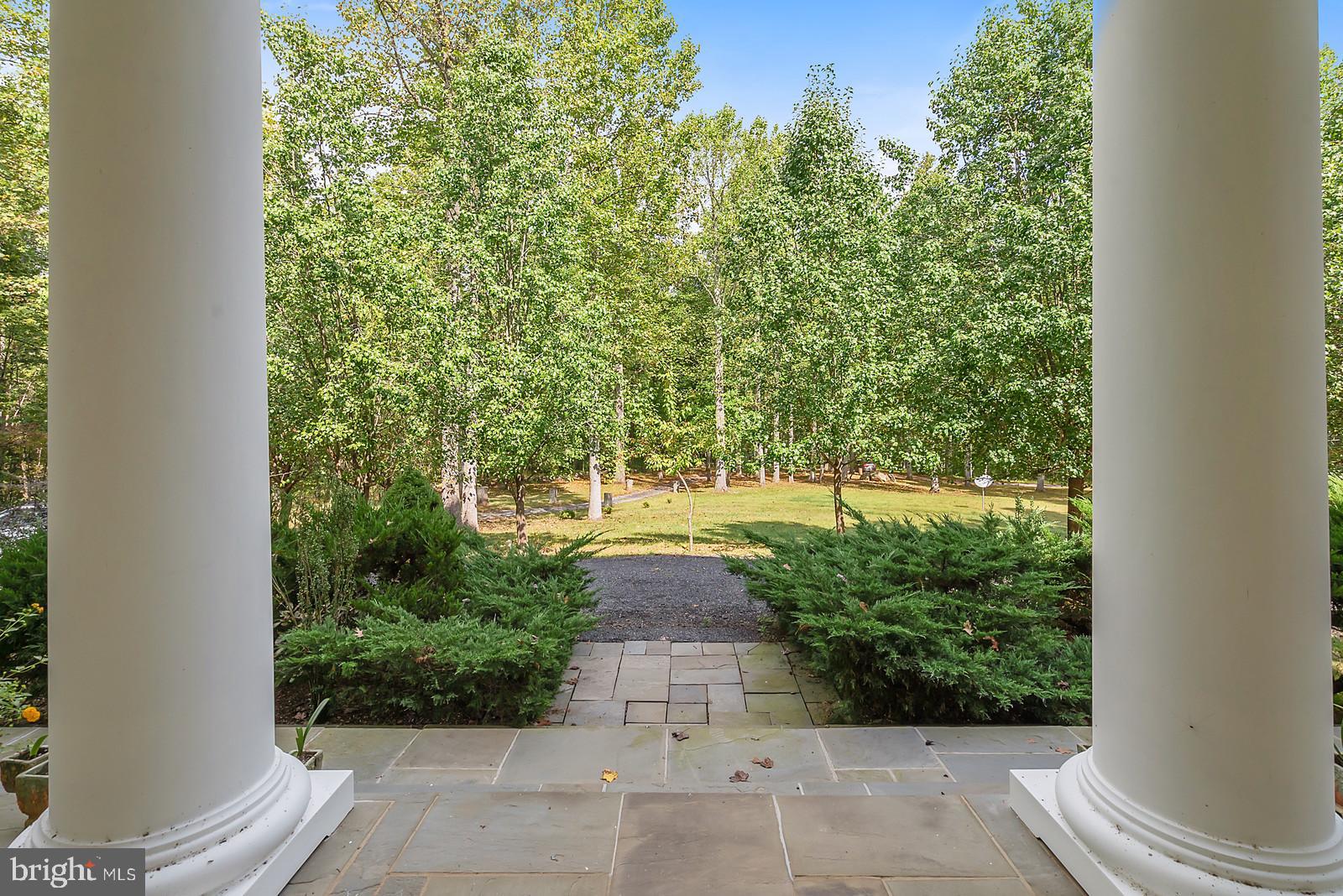 3318 Bust Head Road The Plains, VA 20198 - Photo 3 of 61 View of driveway from front porch