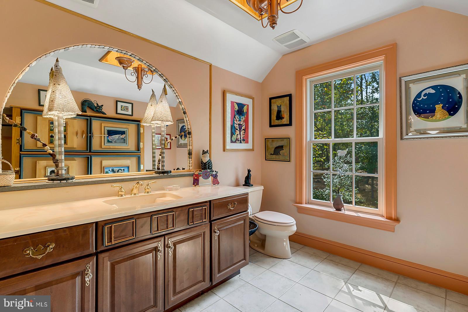 3318 Bust Head Road The Plains, VA 20198 - Photo 46 of 61 Upper Level en suite bathroom