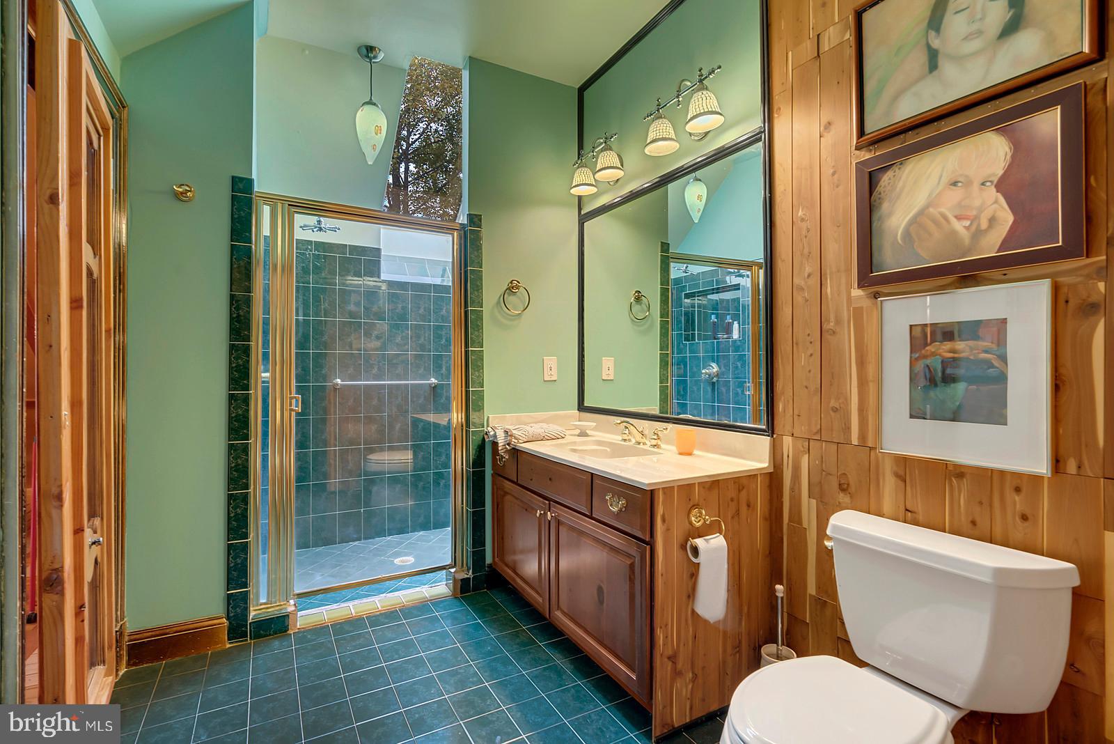 3318 Bust Head Road The Plains, VA 20198 - Photo 52 of 61 Third en suite bathroom on Upper Level