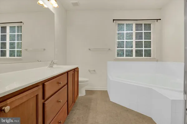 a bathroom with a sink double vanity and a bathtub