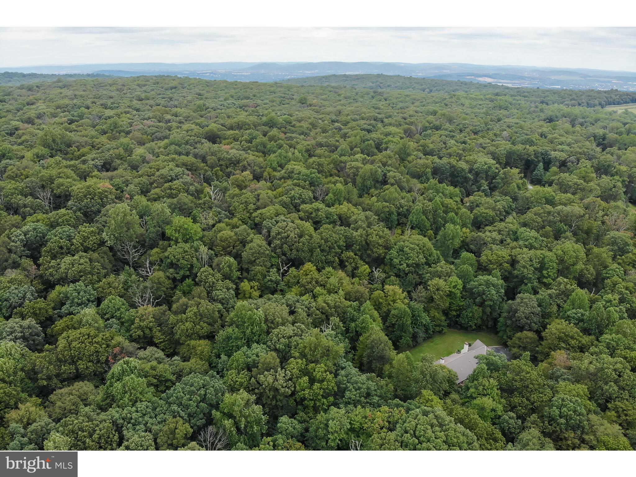 2541 St Peters Road Pottstown, PA 19465 - Photo 12 of 78 Aerial toward French Creek State Park
