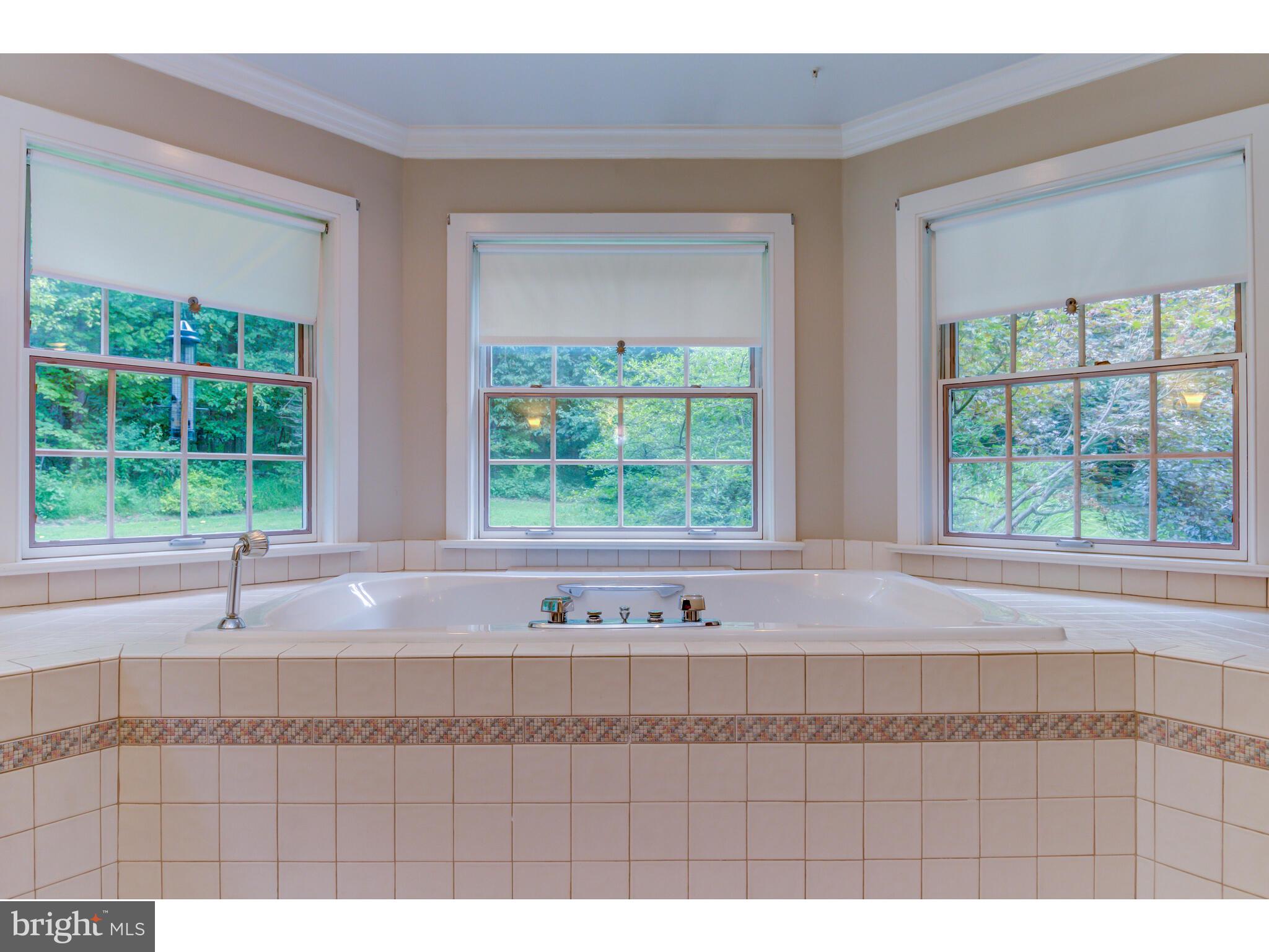 2541 St Peters Road Pottstown, PA 19465 - Photo 45 of 78 Owners' Bathroom 2 with Bidet/Soaking Tub