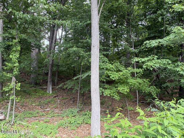 237 Thimbleberry Road Malta, NY 12020 - Photo 21 of 54 237 deck