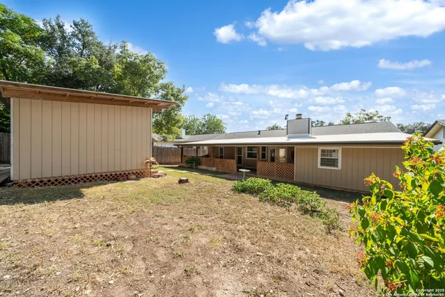 a view of a backyard with a large tree