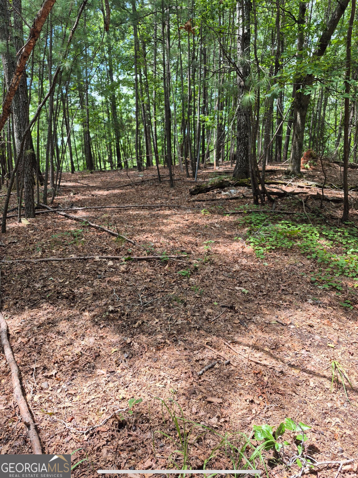 0 Brazell Road Fairburn, GA 30213 - Photo 16 of 27 Gallery Image 16