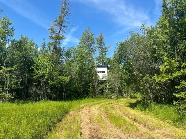 $385,000 | 1961 Town Road, Birchdale, MN 56623