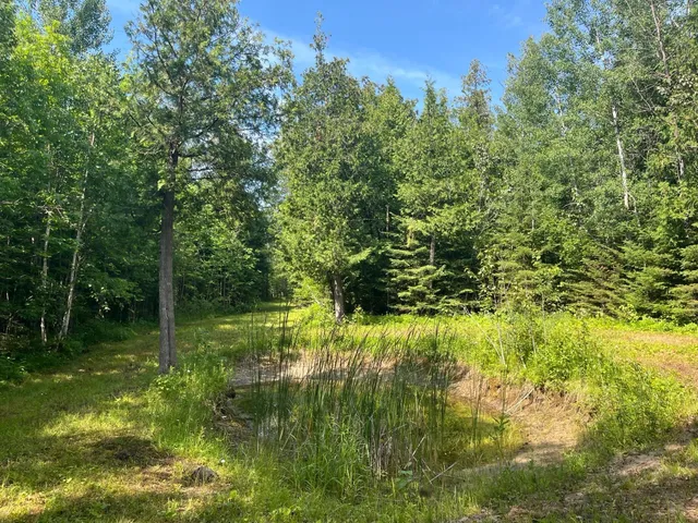 $385,000 | 1961 Town Road, Birchdale, MN 56623