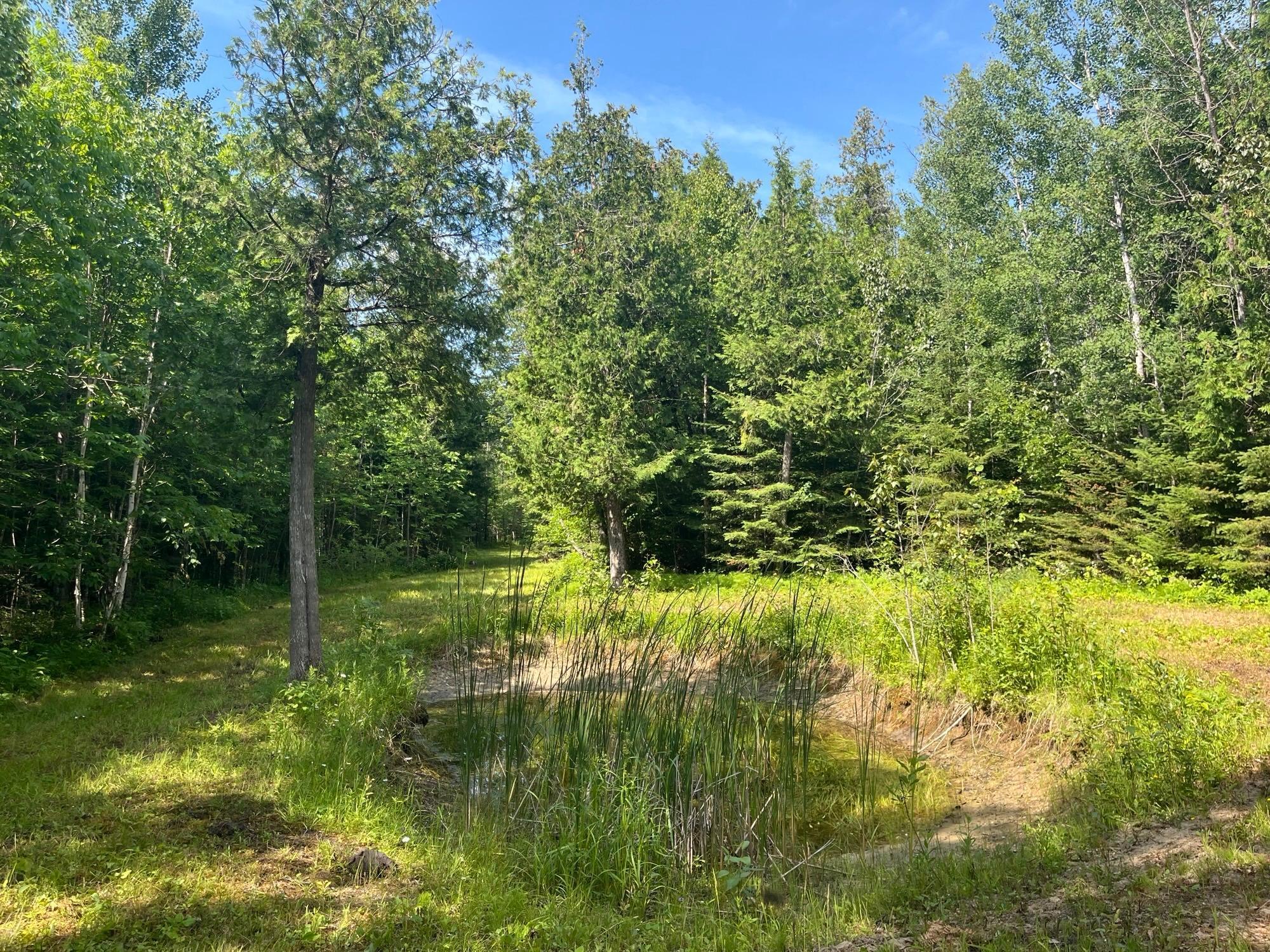 1961 Town Road Birchdale, MN 56623 - Photo 16 of 50