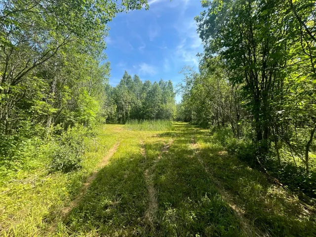 $385,000 | 1961 Town Road, Birchdale, MN 56623