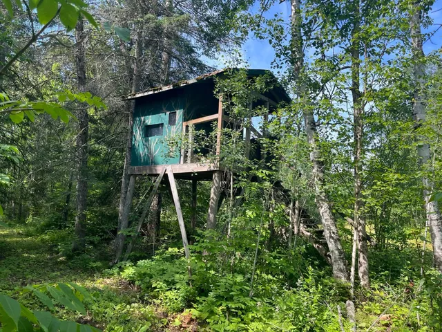 $385,000 | 1961 Town Road, Birchdale, MN 56623