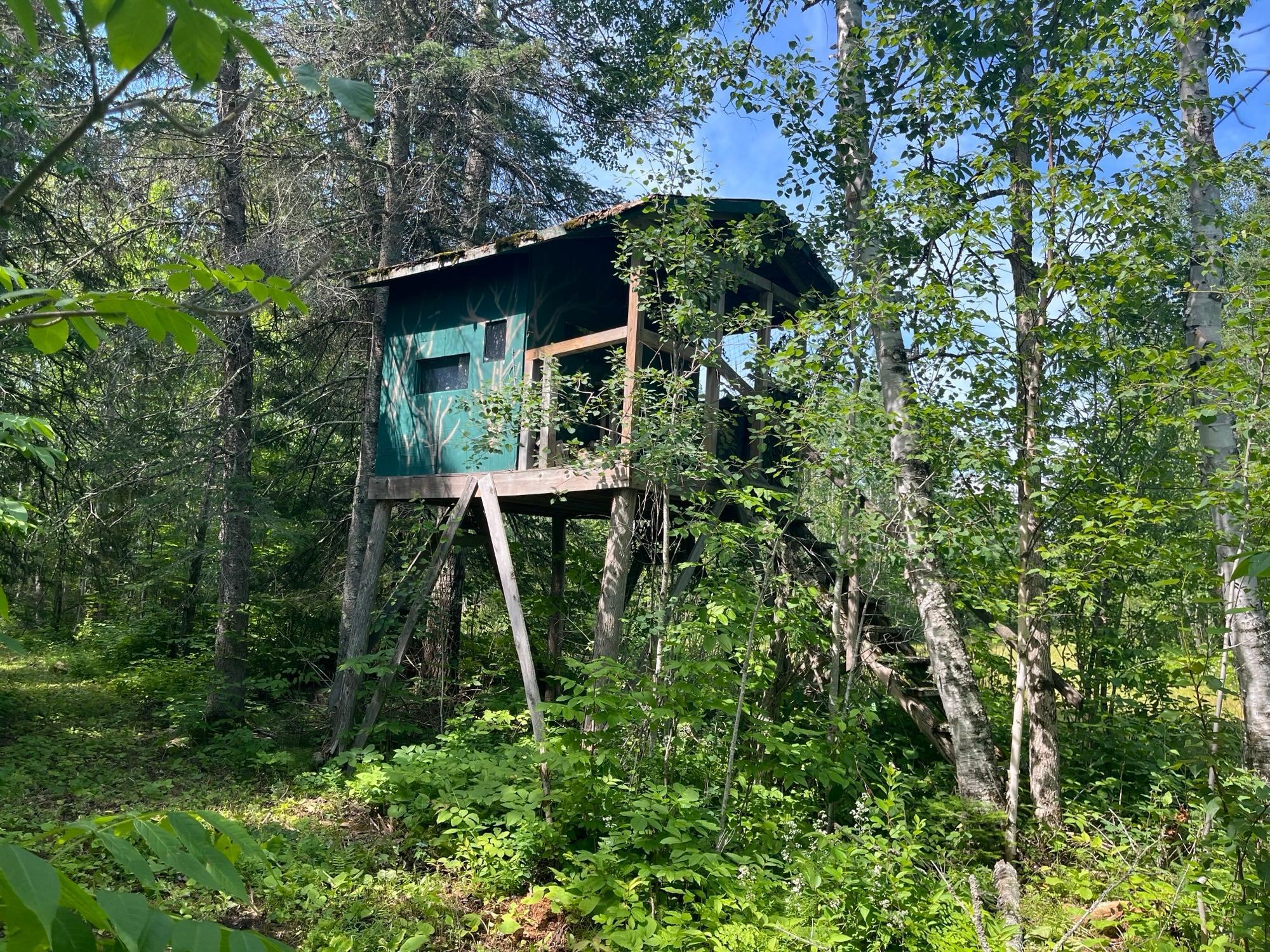 1961 Town Road Birchdale, MN 56623 - Photo 19 of 50