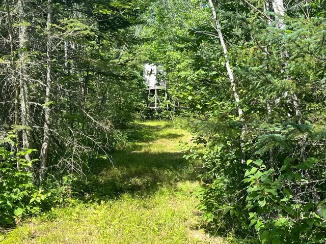 $385,000 | 1961 Town Road, Birchdale, MN 56623