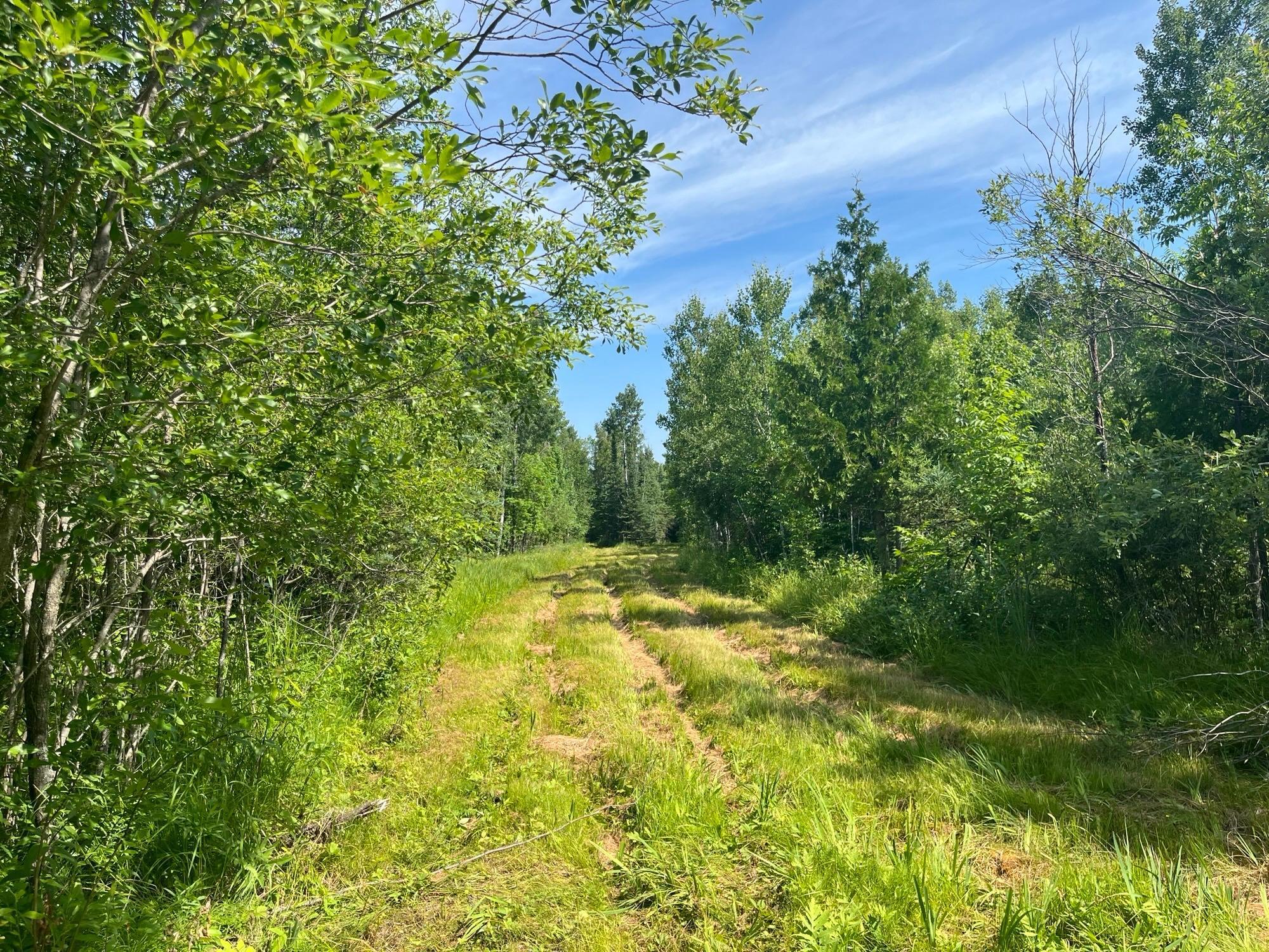 1961 Town Road Birchdale, MN 56623 - Photo 2 of 50