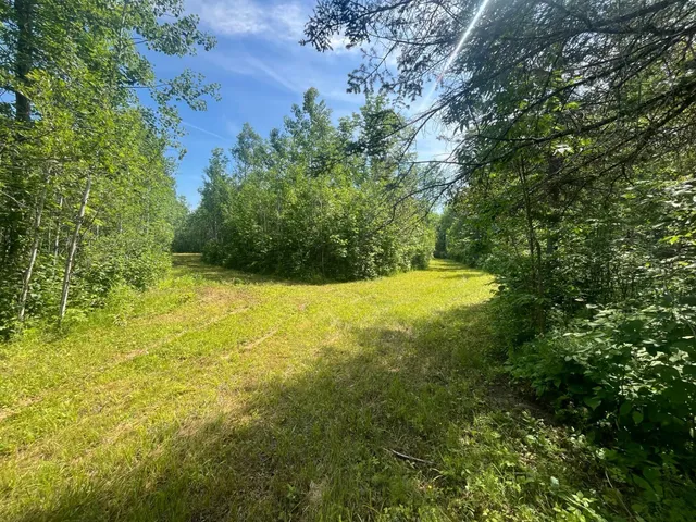 $385,000 | 1961 Town Road, Birchdale, MN 56623