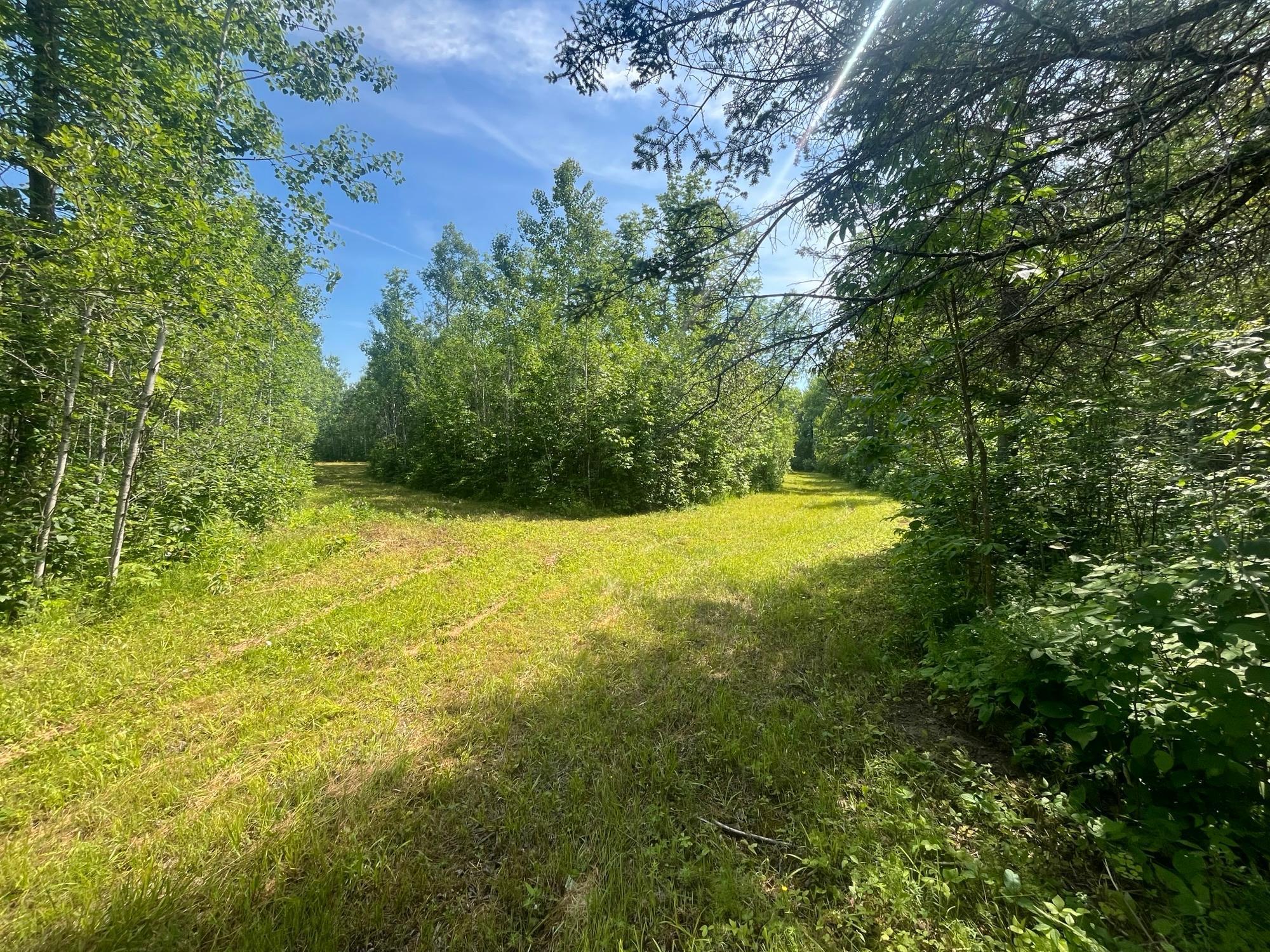 1961 Town Road Birchdale, MN 56623 - Photo 21 of 50