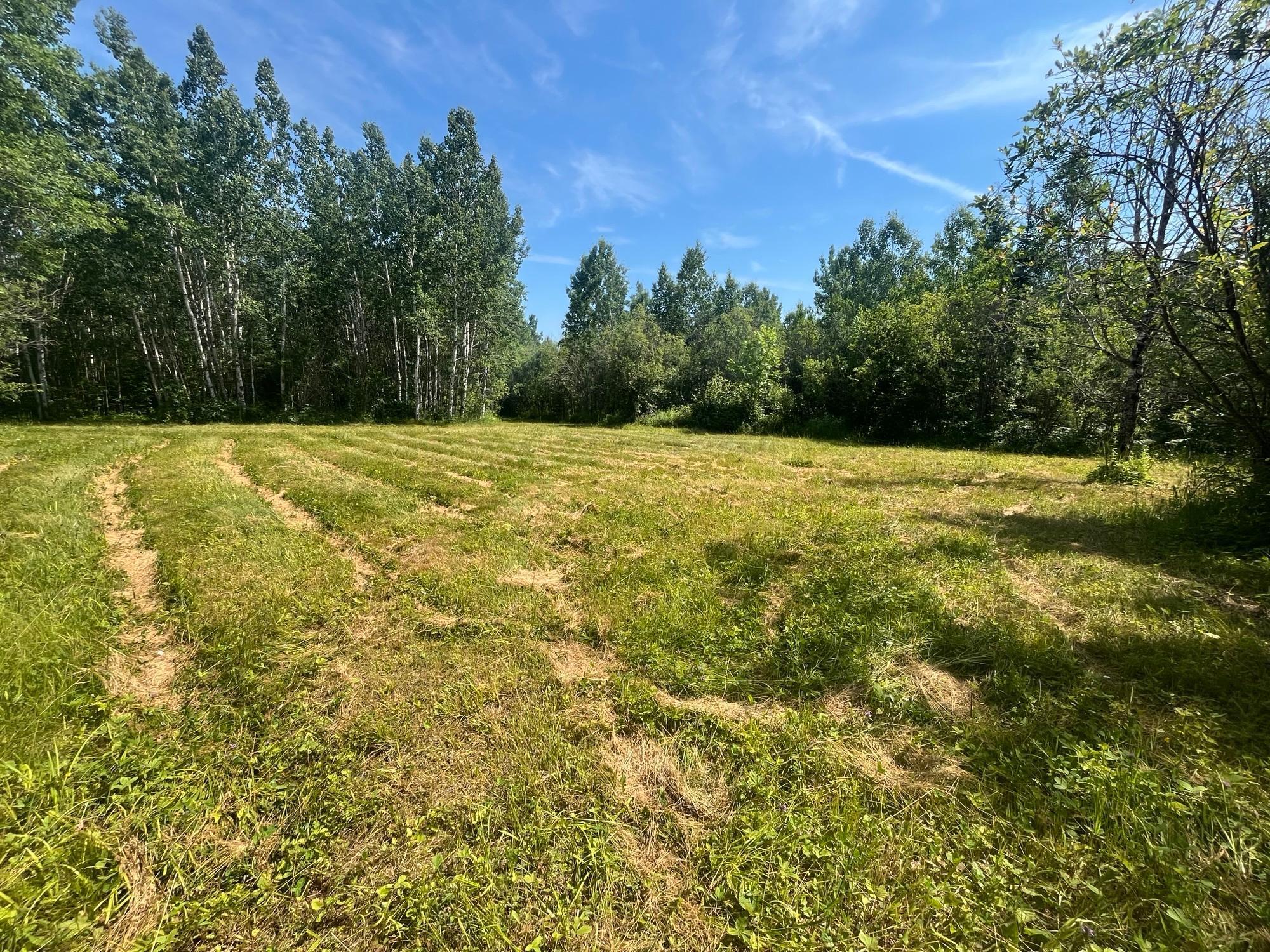 1961 Town Road Birchdale, MN 56623 - Photo 22 of 50