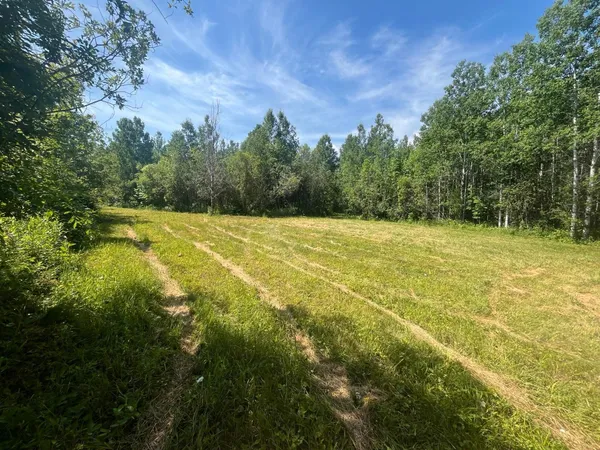 $366,000 | 1961 Town Road, Birchdale, MN 56623