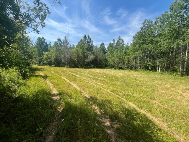 $385,000 | 1961 Town Road, Birchdale, MN 56623