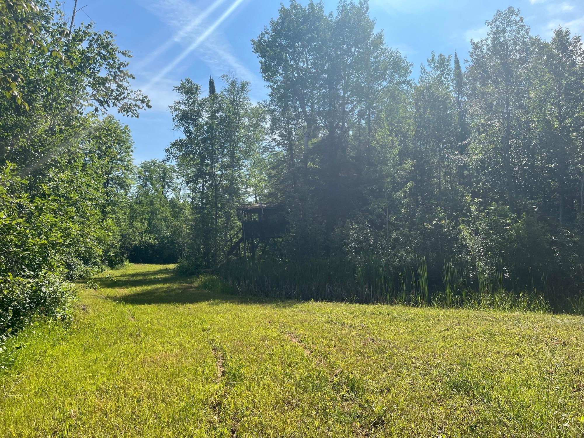 1961 Town Road Birchdale, MN 56623 - Photo 24 of 50