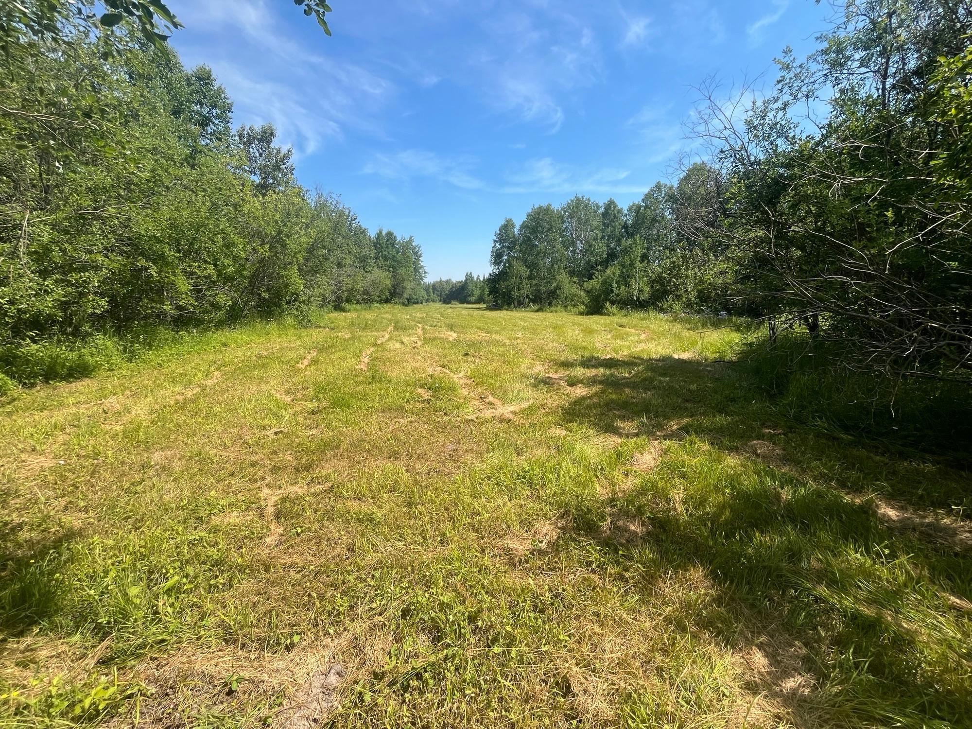 1961 Town Road Birchdale, MN 56623 - Photo 25 of 50