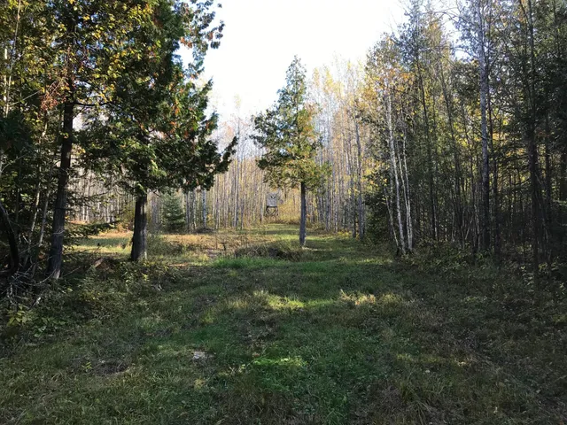 $372,000 | 1961 Town Road, Birchdale, MN 56623