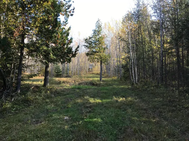 $385,000 | 1961 Town Road, Birchdale, MN 56623