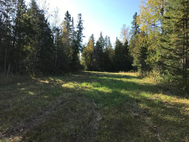 $385,000 | 1961 Town Road, Birchdale, MN 56623