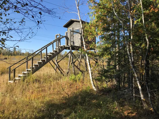 $372,000 | 1961 Town Road, Birchdale, MN 56623