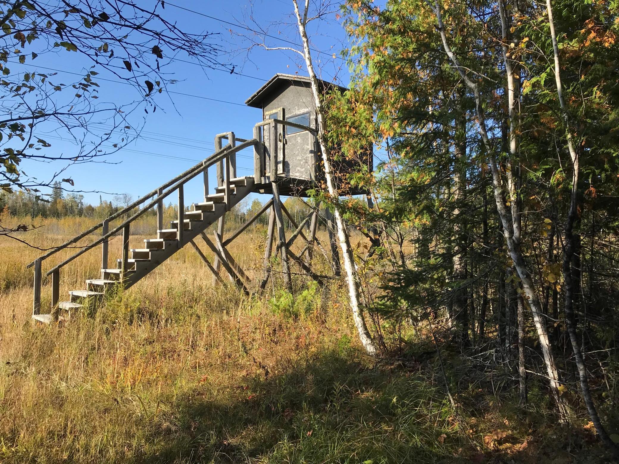1961 Town Road Birchdale, MN 56623 - Photo 29 of 50