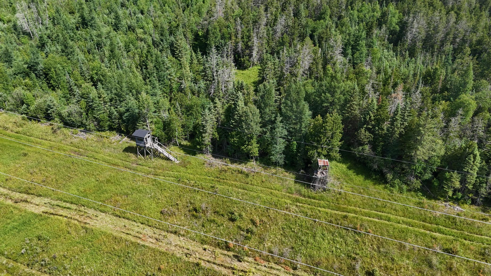1961 Town Road Birchdale, MN 56623 - Photo 30 of 50