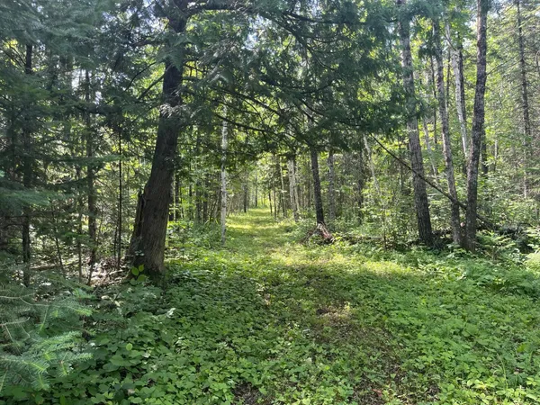 $366,000 | 1961 Town Road, Birchdale, MN 56623