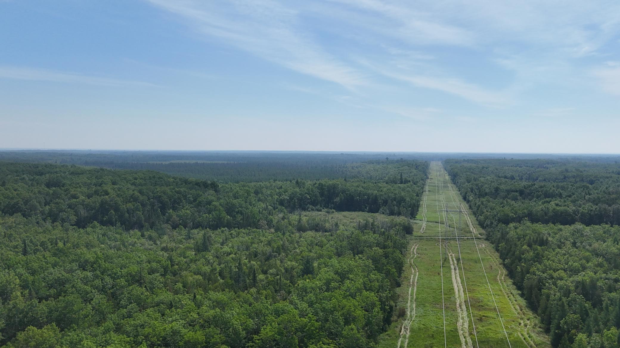 1961 Town Road Birchdale, MN 56623 - Photo 33 of 50