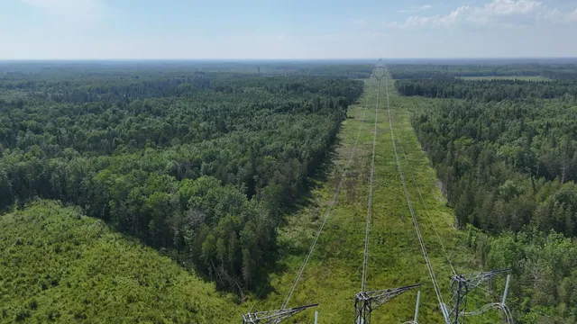 $385,000 | 1961 Town Road, Birchdale, MN 56623