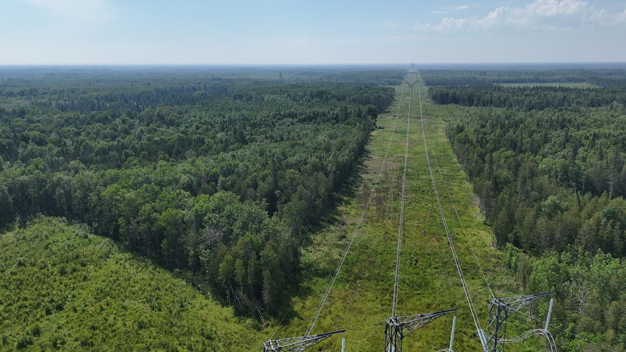 1961 Town Road Birchdale, MN 56623 - Photo 34 of 50