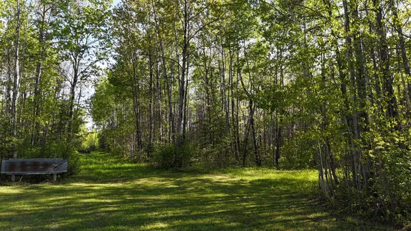 $366,000 | 1961 Town Road, Birchdale, MN 56623