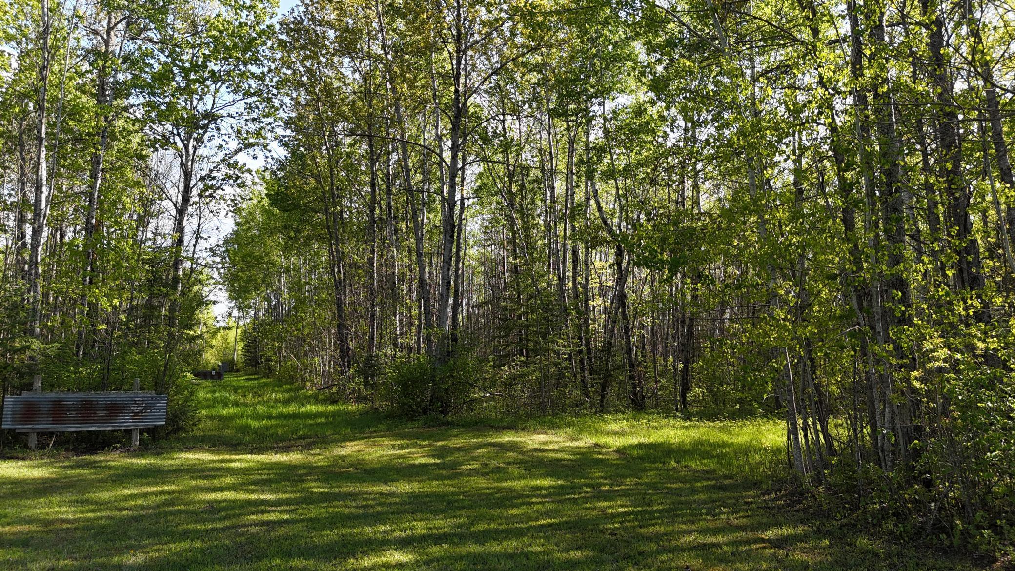 1961 Town Road Birchdale, MN 56623 - Photo 35 of 50