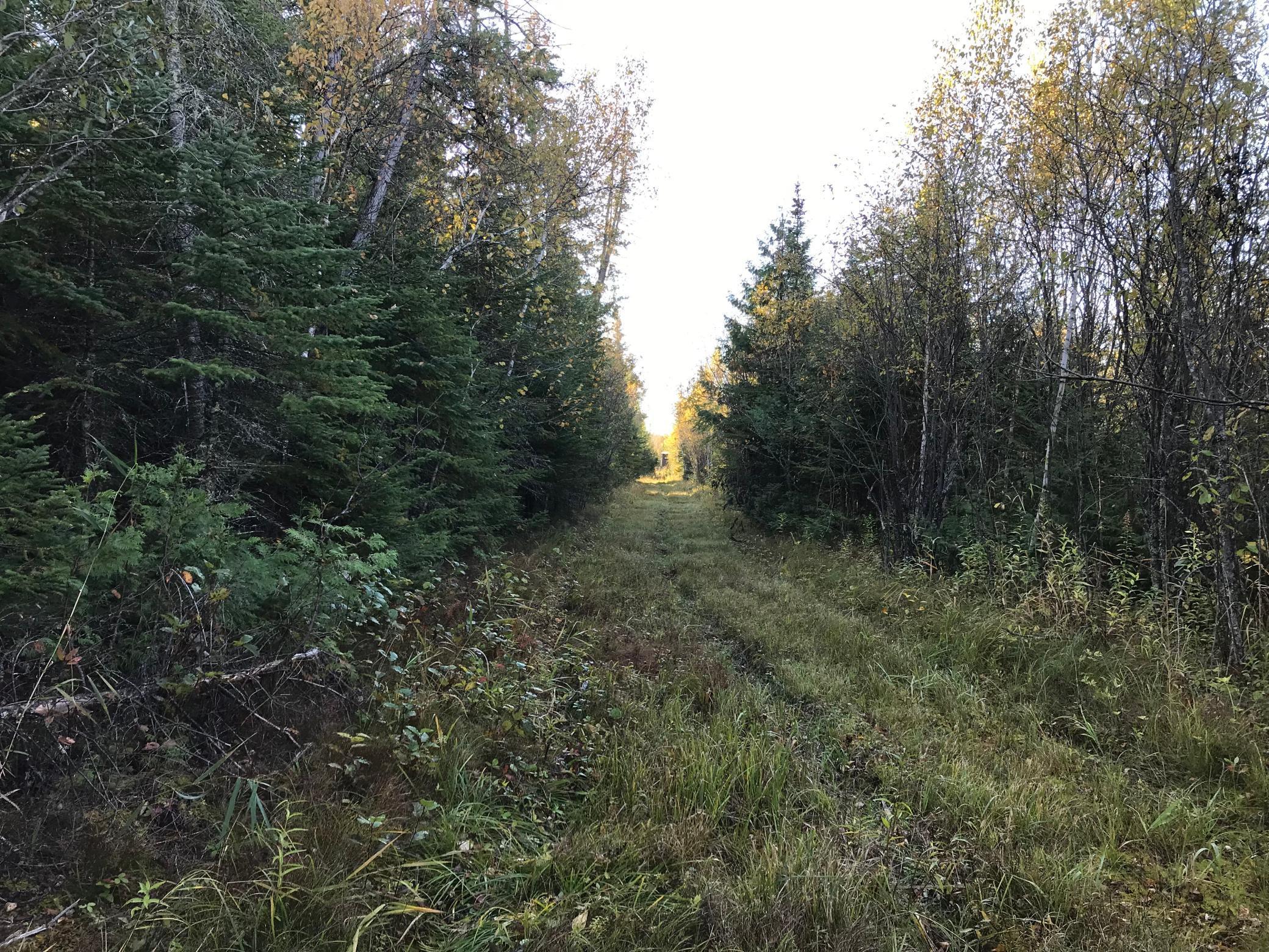 1961 Town Road Birchdale, MN 56623 - Photo 36 of 50