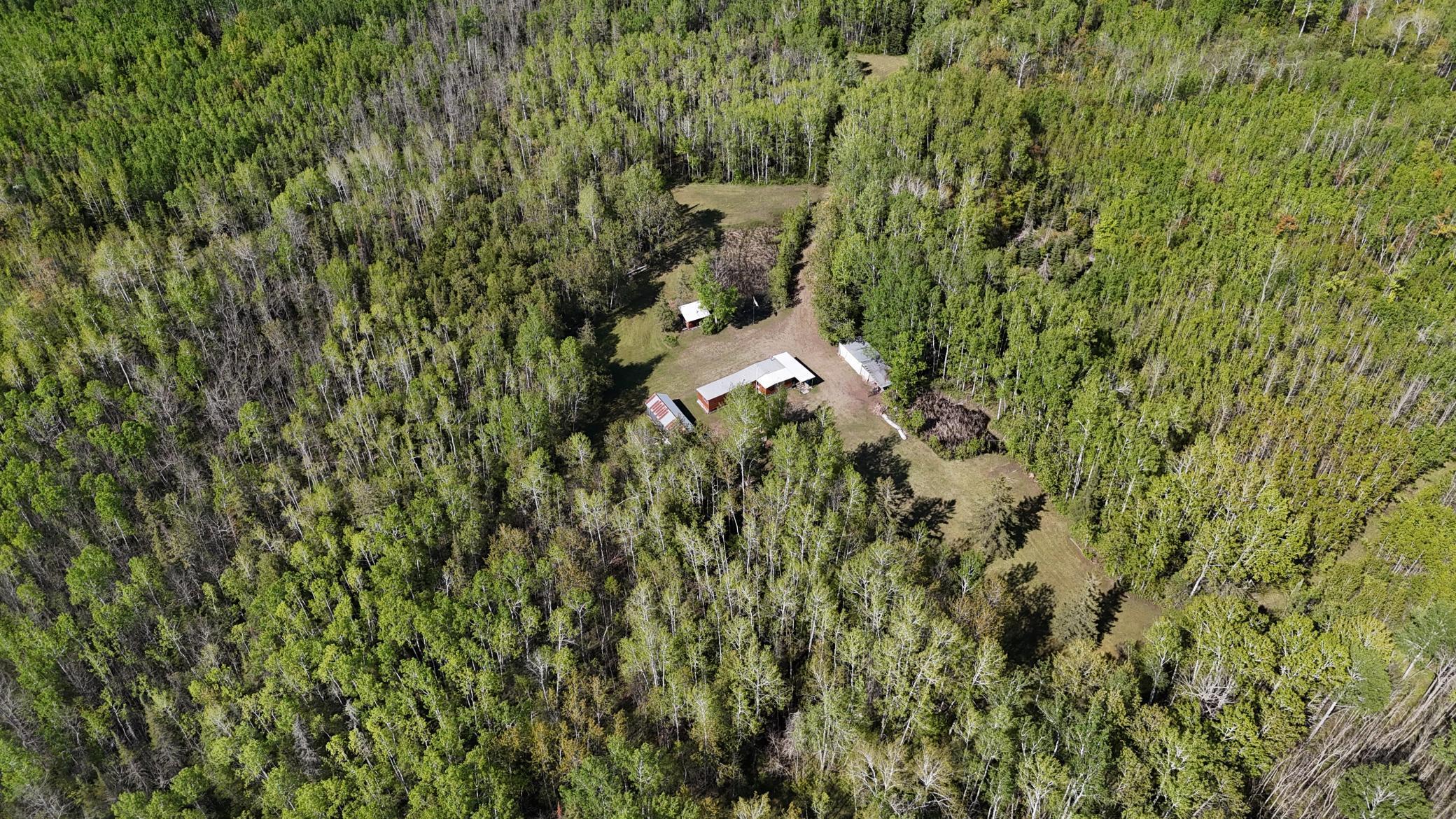 1961 Town Road Birchdale, MN 56623 - Photo 38 of 50