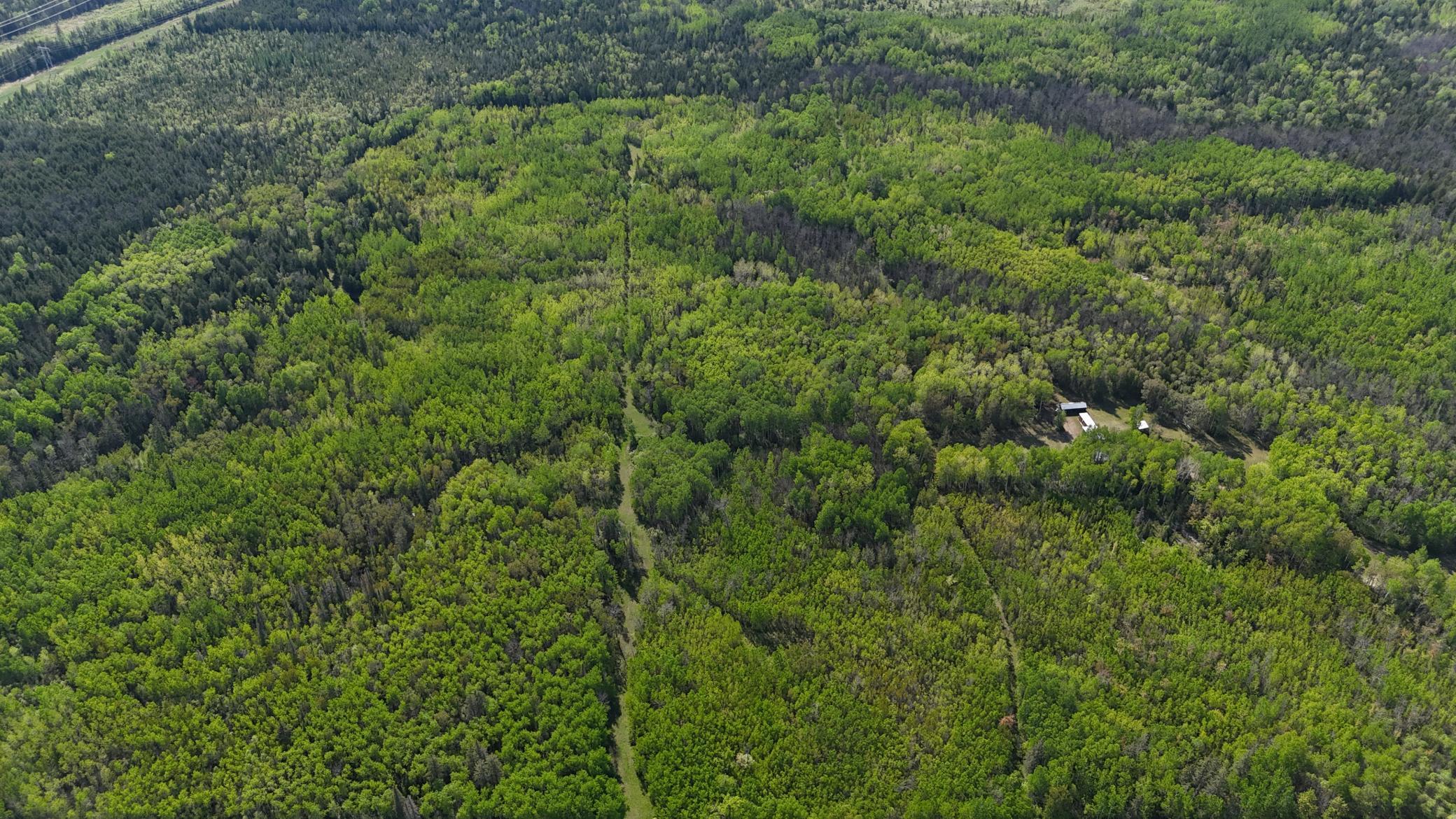 1961 Town Road Birchdale, MN 56623 - Photo 40 of 50