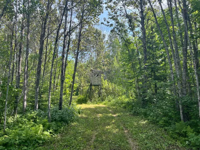 $385,000 | 1961 Town Road, Birchdale, MN 56623