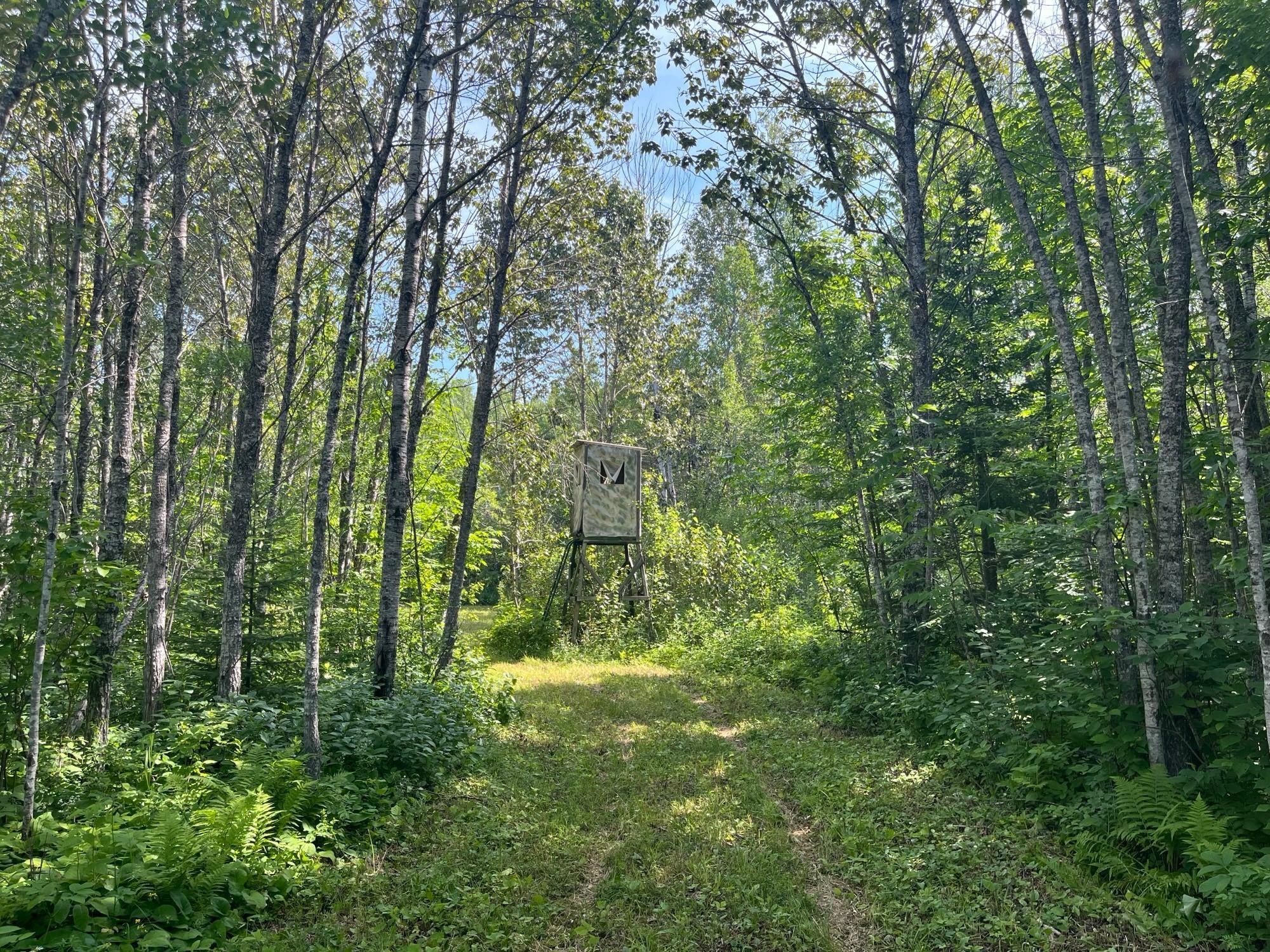 1961 Town Road Birchdale, MN 56623 - Photo 4 of 50