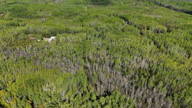 $385,000 | 1961 Town Road, Birchdale, MN 56623