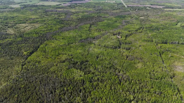 $372,000 | 1961 Town Road, Birchdale, MN 56623