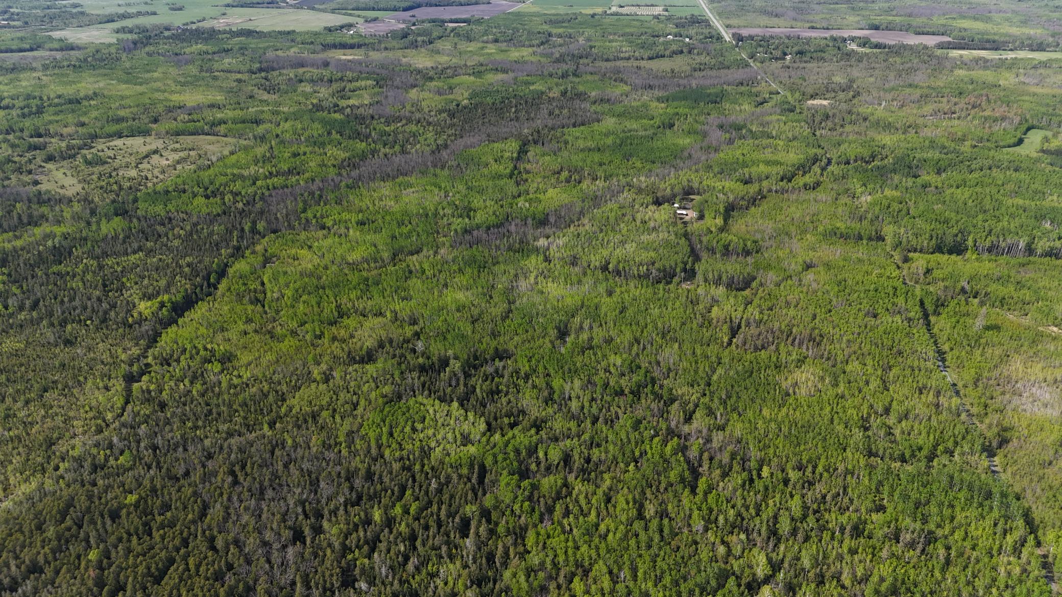 1961 Town Road Birchdale, MN 56623 - Photo 43 of 50