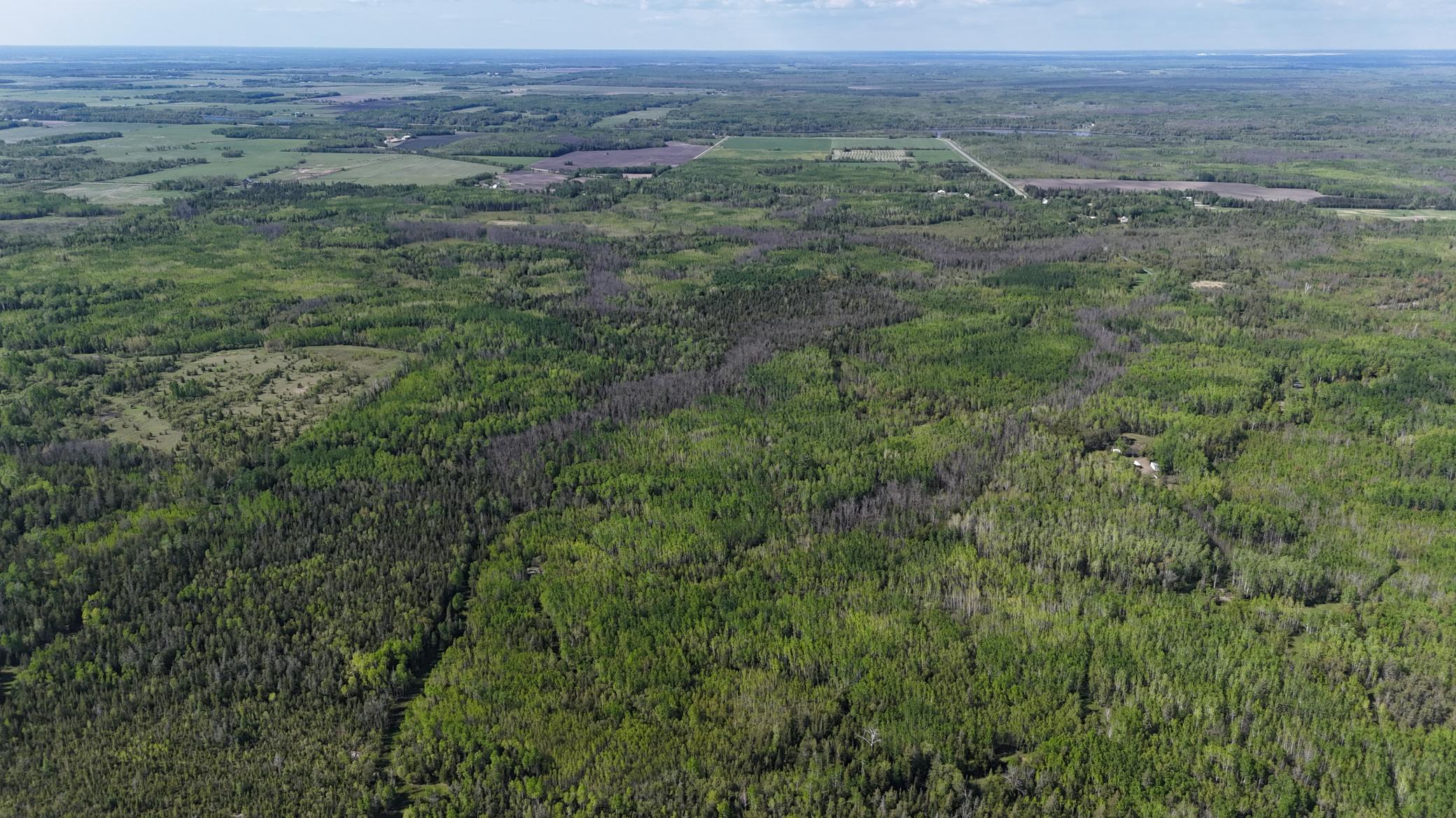 1961 Town Road Birchdale, MN 56623 - Photo 44 of 50