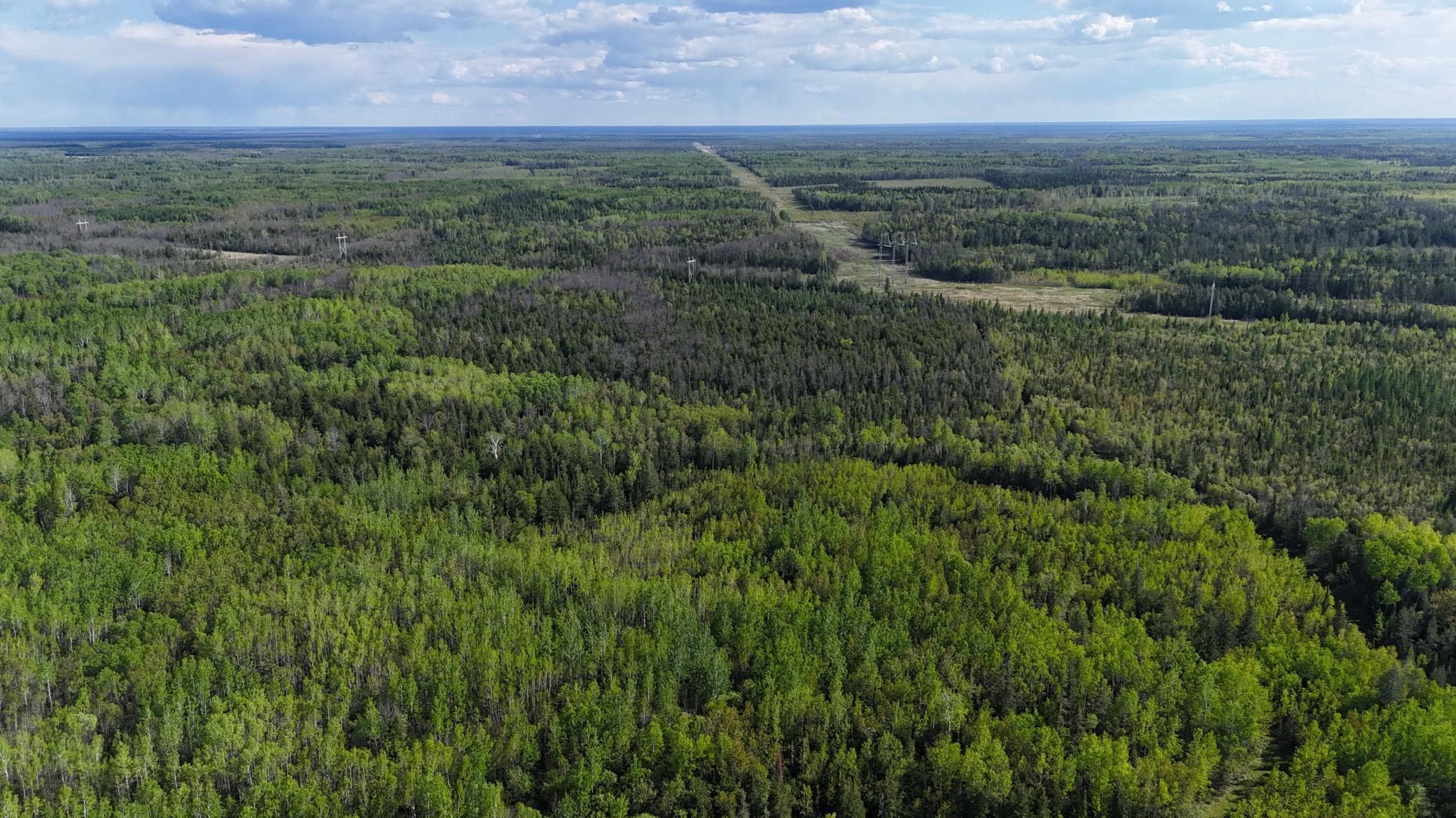 1961 Town Road Birchdale, MN 56623 - Photo 45 of 50